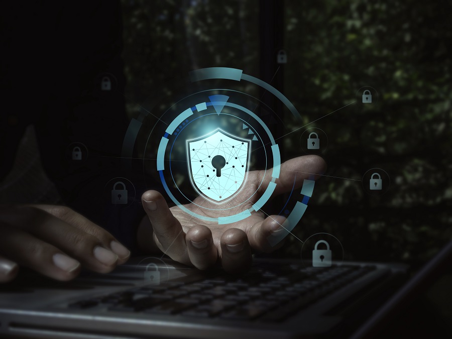 Top Digital Risk Protection Providers for Rapidly Growing Brands